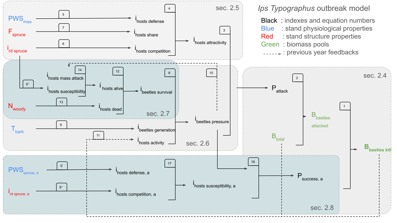 Is this useful? It is already outdated and it will be a pain to keep this up-to-date? A reference to Marie et al might be enough? If useful, this figure needs to be cited in the text Order of the calculations. The dotted line boxes represent the five main processes of the outbreak model as described in sections %s to %s. The numbers correspond to the equation numbers in . The variable names are listed in  Table 1.
