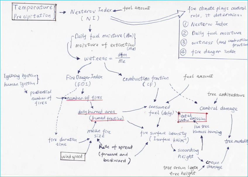 Is this useful? If so, this figure needs to be cited in the text Flow and dependencies of the fire calculations.